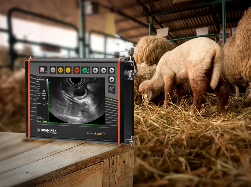 AnimalProfi Ultraschallgerät für Tierhalter Schafe